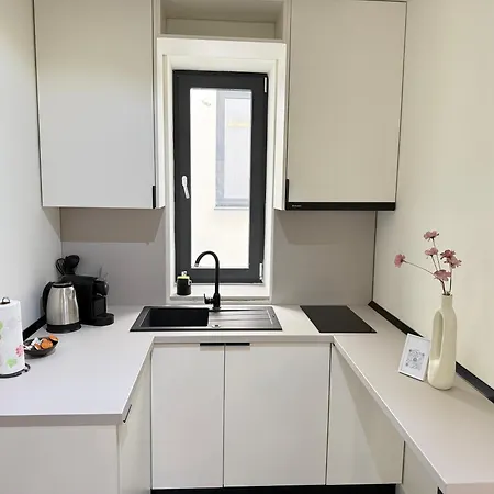 Cozy Luxury Collection - Premium * 브라쇼브